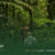 What-to-Pack-for-a-Jungle-Trek-in-Sumatra