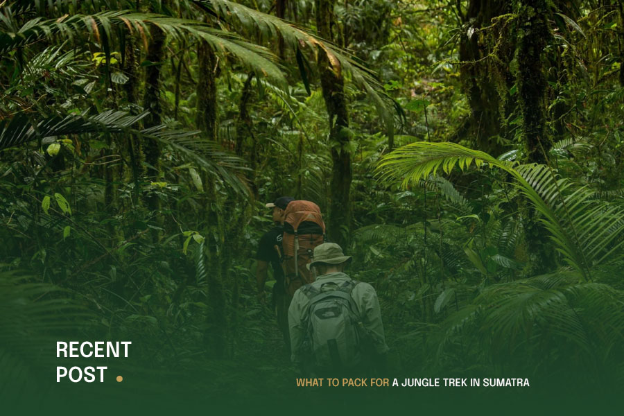 What-to-Pack-for-a-Jungle-Trek-in-Sumatra