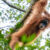 Sumatra Rainforest Adventure